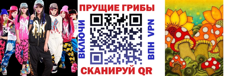 Галлюциногенные грибы Psilocybine cubensis  Псков 